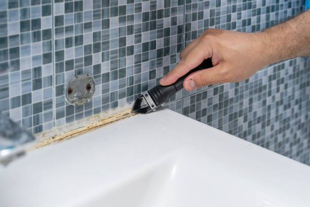 Normandy Park, WA Mold Removal Company
